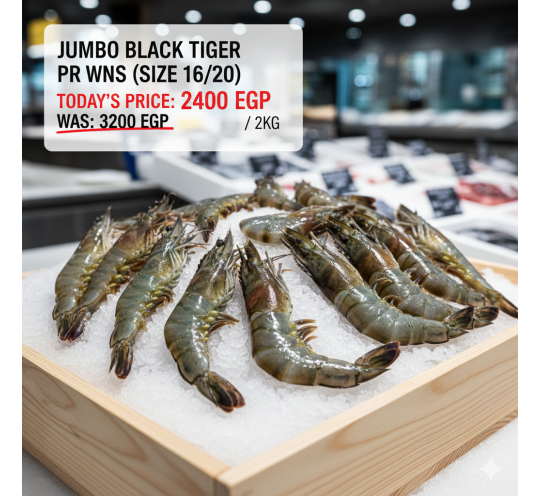 ٢ك جمبرى چامبو