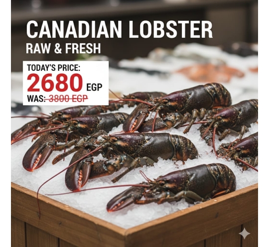 ١ك استاكوزا كندى