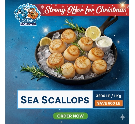 Sea scllops