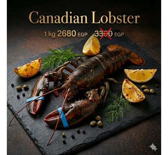 ١ك استاكوزا كندى