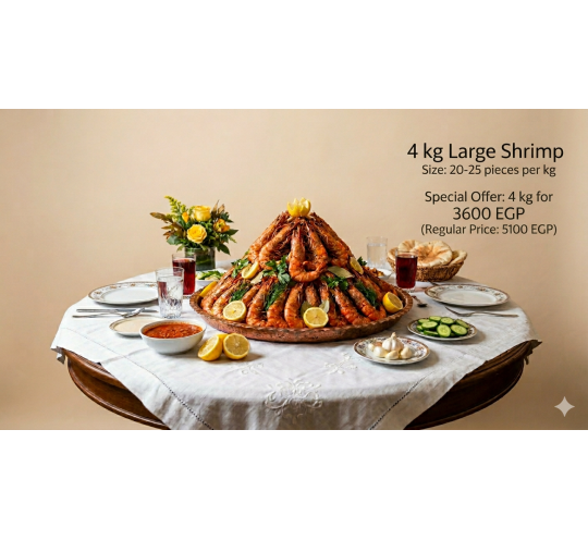 ٤ك جمبرى كبير