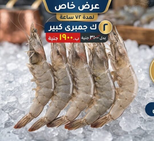 ٢ك جمبرى كبير - 2k.g big shrimp
