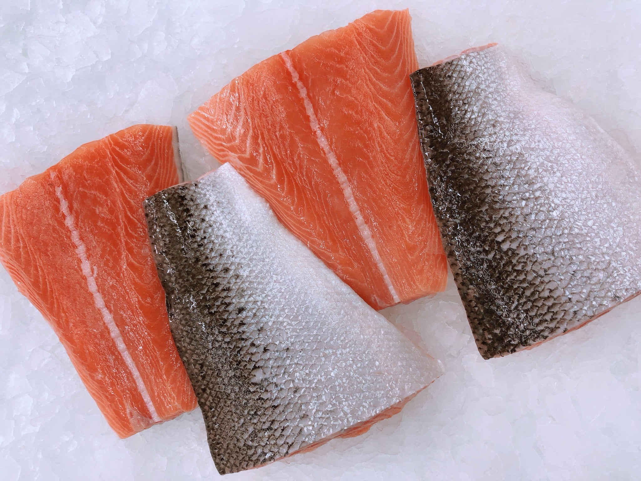 ١ك سلمون فيلية - الذيل (salmon fillet _tail)