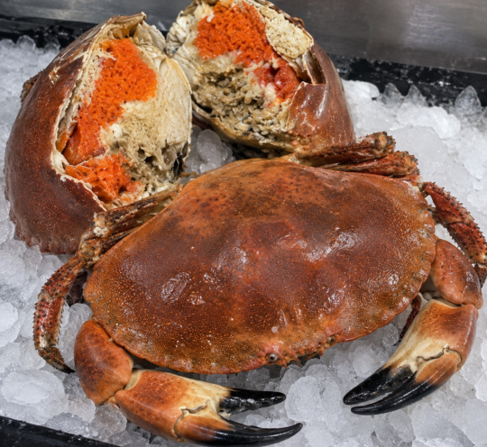 براون كراب جامبو بالبطارخ | Premium Jumbo Brown Crab